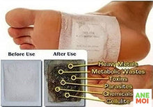 Load image into Gallery viewer, Detox Foot Patches (Set of 10)
